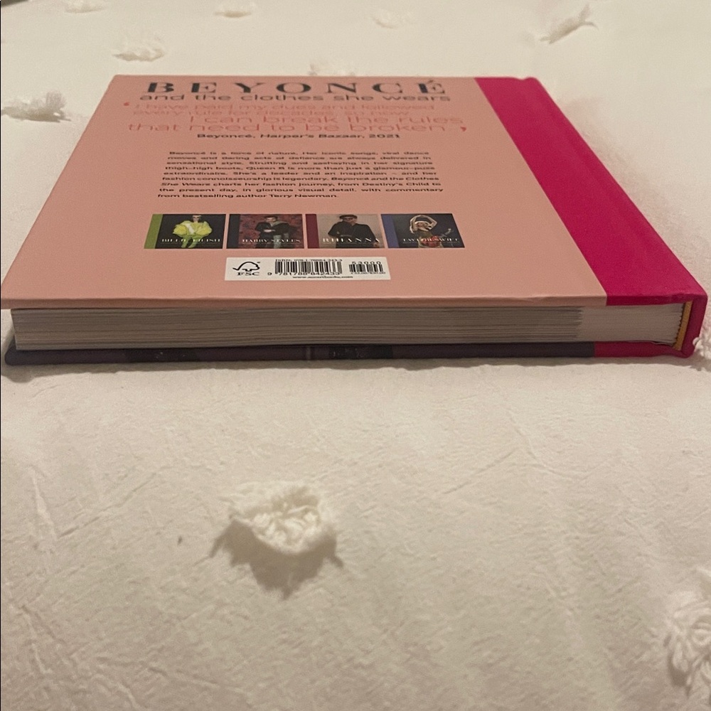 Beyoncé and the Clothes She Wears Book - Pink and Gray - Picture 8 of 9